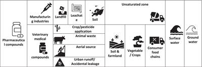 Impact of veterinary pharmaceuticals on environment and their mitigation through microbial bioremediation